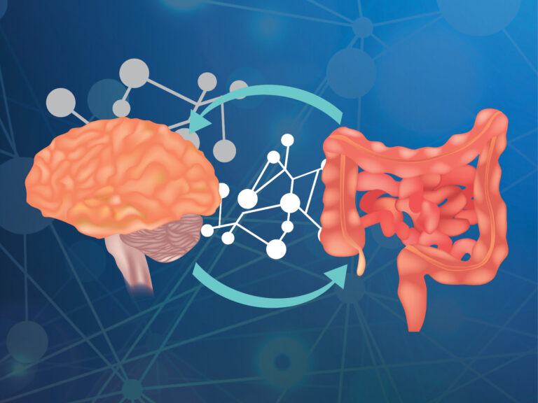 Your Gut and Brain are in a long-distance relationship!
